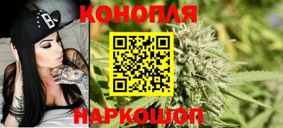 мдпв Шелехов